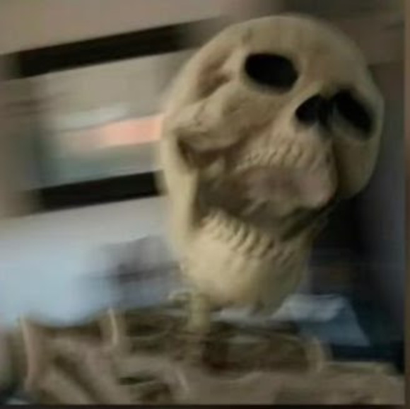 Meet your Posher, Joseph - Picture 1 of 1